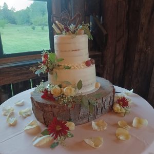Wedding / Celebration Cakes