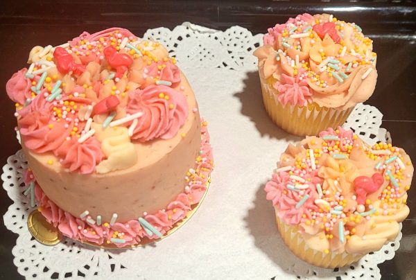 Cake Bento Boxes